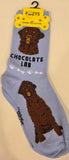 Labrador - Chocolate Lab Canine Collection Socks  FCC-62