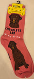 Labrador - Chocolate Lab Canine Collection Socks  FCC-62