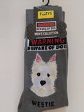 Westie - Men's Beware of Dog Canine Collection - BOD-36  ON SALE NOW