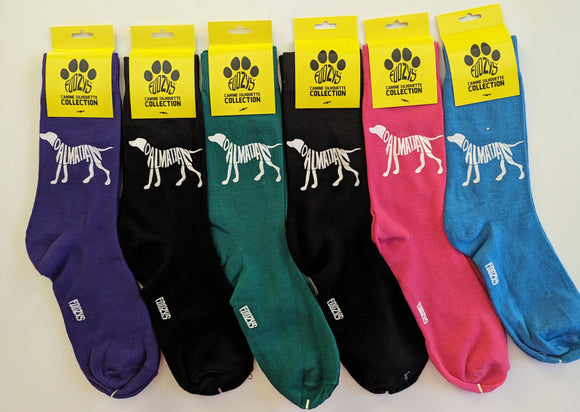 Dalmation Canine Silhouette Collection - 6 Pair Bundle Sale - FSC-15