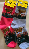 Texas Longhorn Unisex Socks  FC-287  NEW