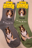 Collie Canine Collection Socks   FCC-34  ON SALE NOW