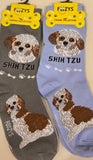 Shih Tzu Canine Collection Socks  FCC-36