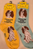 Cavalier King Charles Canine Collection Socks  FCC-08  ON SALE NOW