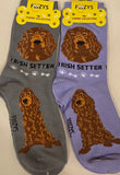 Irish Setter Canine Collection Socks  FCC-45  ON SALE NOW
