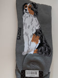 Australian Shepherd - Men's Beware of Dog Canine Collection - BOD-01