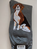 Beagle - Men's Beware of Dog Canine Collection - BOD-02  ON SALE NOW
