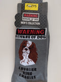 Cavalier King Charles - Men's Beware of Dog Canine Collection - BOD-07  ON SALE NOW