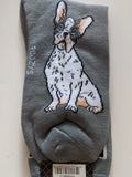 French Bulldog - Men's Beware of Dog Canine Collection - BOD-13