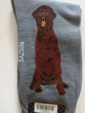 Chocolate Lab - Men's Beware of Dog Canine Collection - BOD-21  ON SALE NOW
