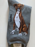 Pit Bull - Men's Beware of Dog Canine Collection - BOD-24  ON SALE NOW