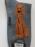Poodle - Men's Beware of Dog Canine Collection - BOD-25  ON SALE NOW