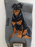 Rottweiler - Men's Beware of Dog Canine Collection - BOD-28  ON SALE NOW