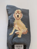 Labradoodle - Men's Beware of Dog Canine Collection - BOD-34