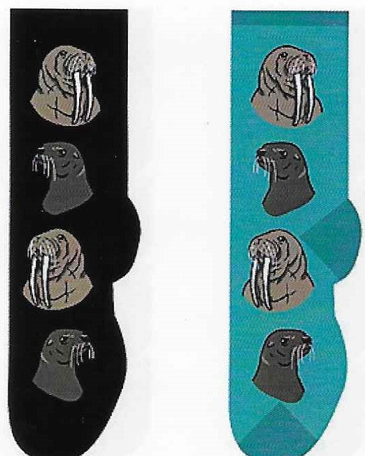 Walrus & Sealion Socks  FC-140