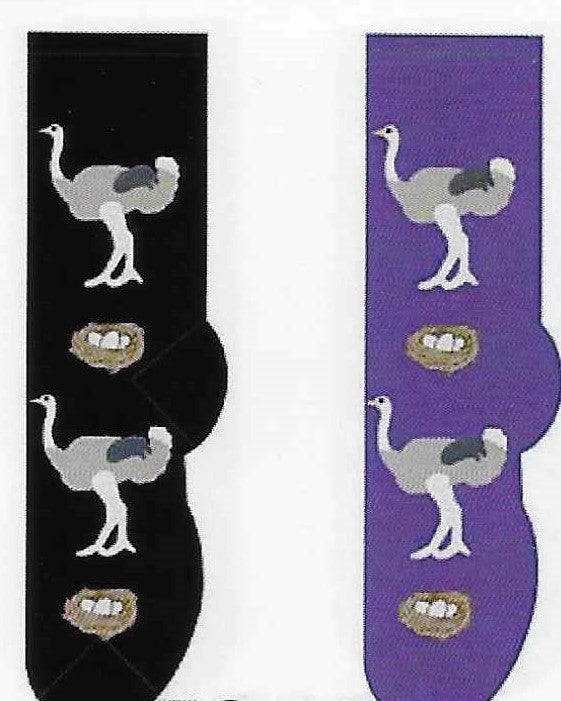 Ostrich & Eggs Socks FC-48  ON SALE NOW