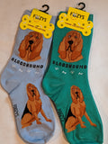 Bloodhound Canine Collection Socks   FCC-77