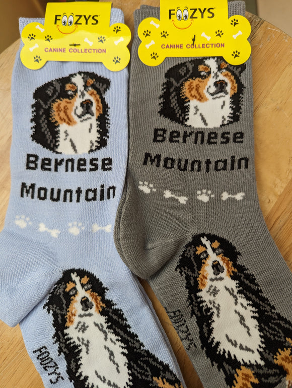 Bernese Mountain Dog Socks   FCC-43