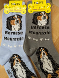 Bernese Mountain Dog Socks   FCC-43
