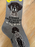 German Shorthaired Pointer Canine Collection Socks  FCC-17