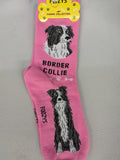 Border Collie Socks   FCC-29