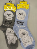 Bichon Frise Socks   FCC-04