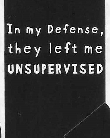 In my Defense, they left me UNSUPERVISED   WYS-08   UNISEX