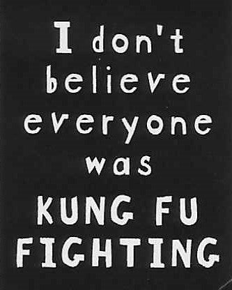 I don't believe everyone was KUNG FU FIGHTING     WYS-65   UNISEX